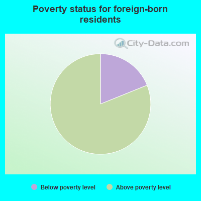 Poverty status for foreign-born residents