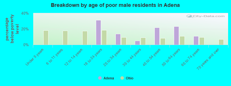 Breakdown by age of poor male residents in Adena