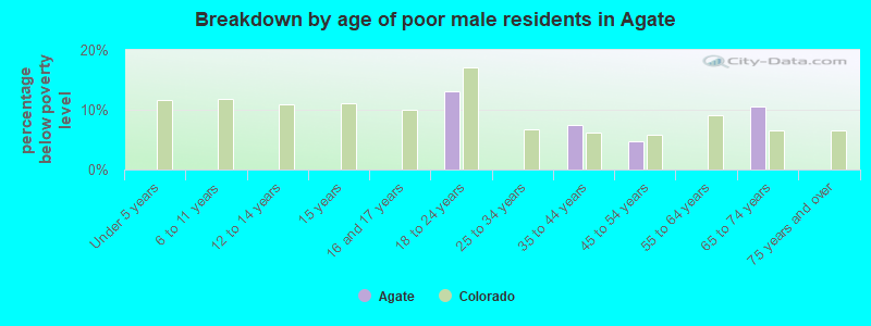 Breakdown by age of poor male residents in Agate