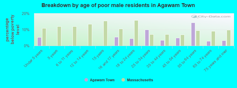 Breakdown by age of poor male residents in Agawam Town
