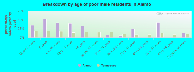 Breakdown by age of poor male residents in Alamo