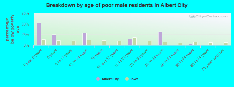 Breakdown by age of poor male residents in Albert City
