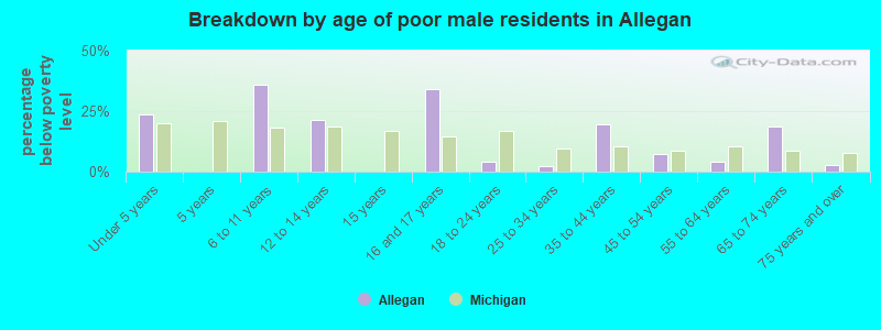 Breakdown by age of poor male residents in Allegan