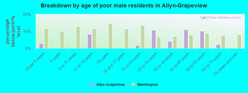 Breakdown by age of poor male residents in Allyn-Grapeview