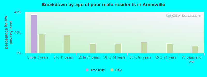 Breakdown by age of poor male residents in Amesville