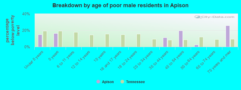 Breakdown by age of poor male residents in Apison