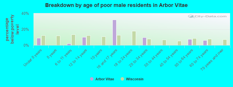 Breakdown by age of poor male residents in Arbor Vitae