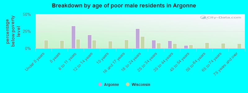 Breakdown by age of poor male residents in Argonne