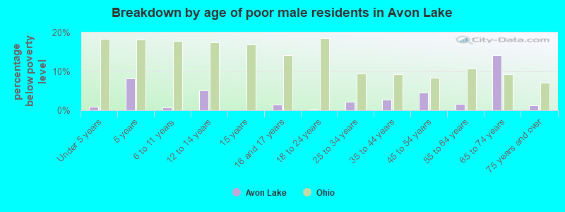 Breakdown by age of poor male residents in Avon Lake