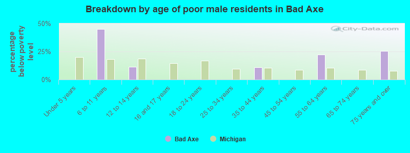 Breakdown by age of poor male residents in Bad Axe