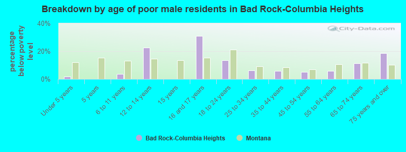 Breakdown by age of poor male residents in Bad Rock-Columbia Heights