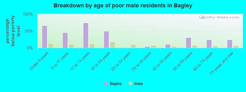 Breakdown by age of poor male residents in Bagley