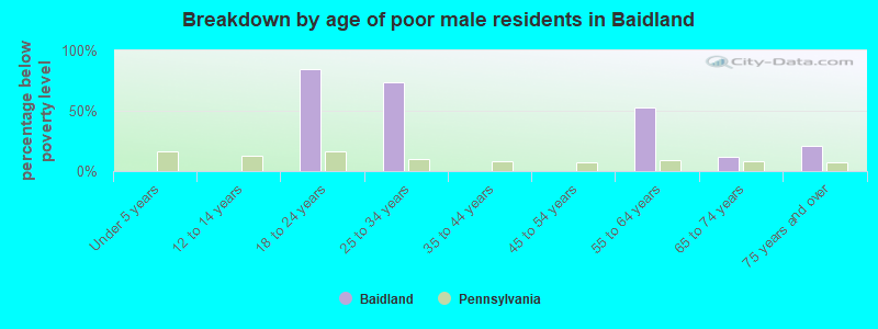 Breakdown by age of poor male residents in Baidland