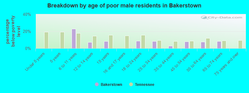 Breakdown by age of poor male residents in Bakerstown
