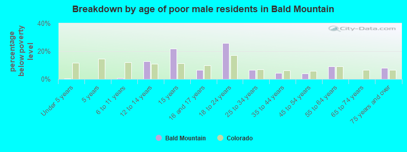 Breakdown by age of poor male residents in Bald Mountain