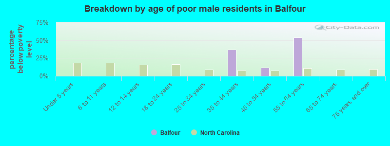 Breakdown by age of poor male residents in Balfour