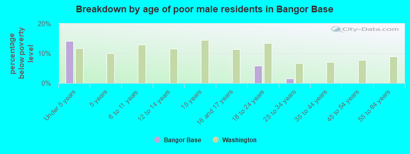 Breakdown by age of poor male residents in Bangor Base