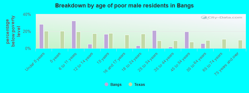 Breakdown by age of poor male residents in Bangs