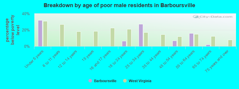 Breakdown by age of poor male residents in Barboursville