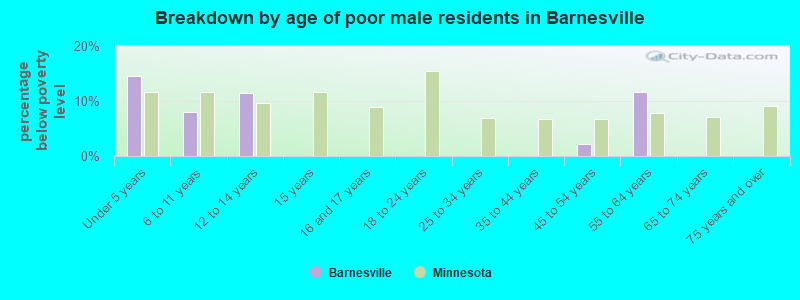 Breakdown by age of poor male residents in Barnesville