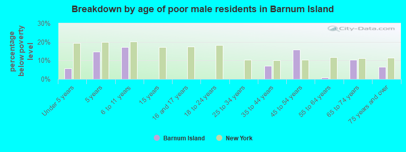 Breakdown by age of poor male residents in Barnum Island