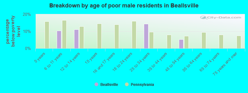 Breakdown by age of poor male residents in Beallsville