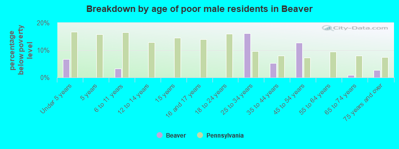 Breakdown by age of poor male residents in Beaver