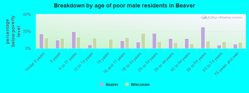 Breakdown by age of poor male residents in Beaver