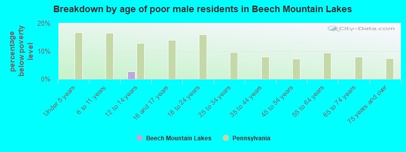 Breakdown by age of poor male residents in Beech Mountain Lakes