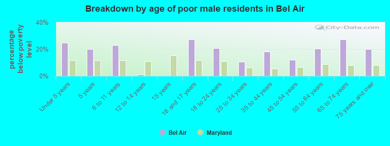 Breakdown by age of poor male residents in Bel Air