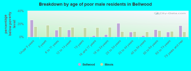 Breakdown by age of poor male residents in Bellwood