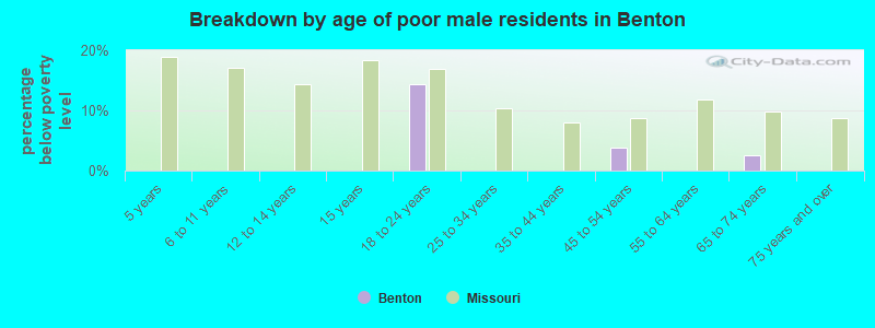 Breakdown by age of poor male residents in Benton
