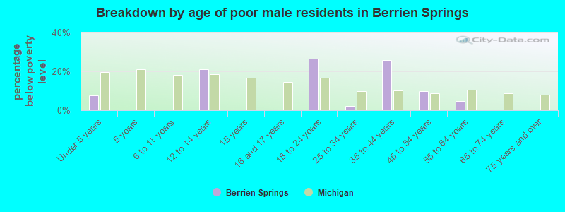 Breakdown by age of poor male residents in Berrien Springs