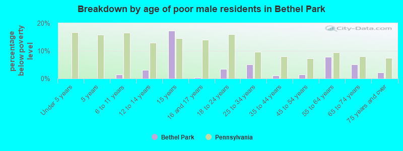 Breakdown by age of poor male residents in Bethel Park