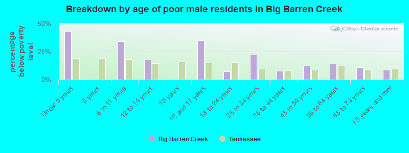 Breakdown by age of poor male residents in Big Barren Creek
