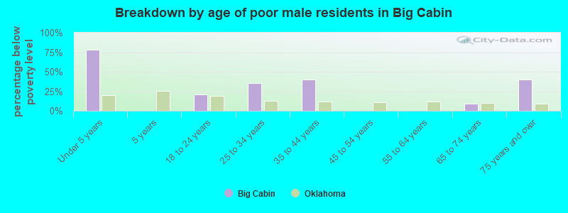 Breakdown by age of poor male residents in Big Cabin