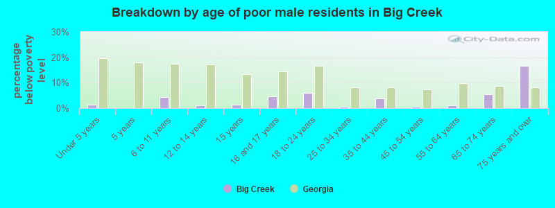 Breakdown by age of poor male residents in Big Creek