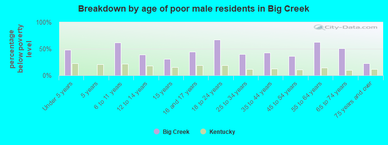 Breakdown by age of poor male residents in Big Creek