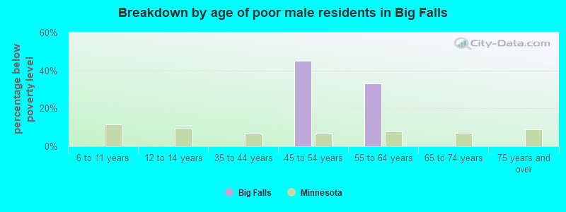 Breakdown by age of poor male residents in Big Falls