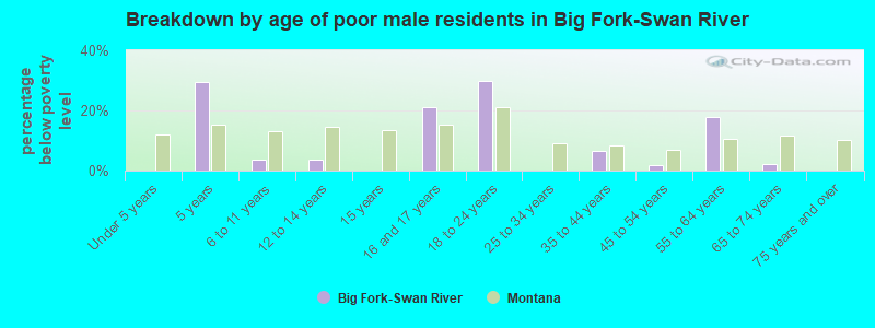 Breakdown by age of poor male residents in Big Fork-Swan River
