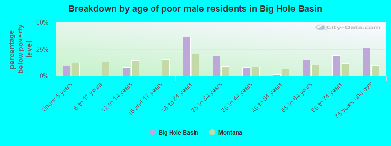 Breakdown by age of poor male residents in Big Hole Basin