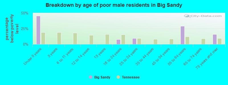 Breakdown by age of poor male residents in Big Sandy
