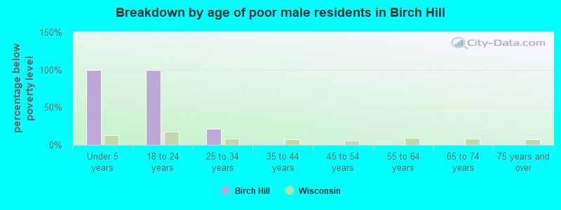 Breakdown by age of poor male residents in Birch Hill