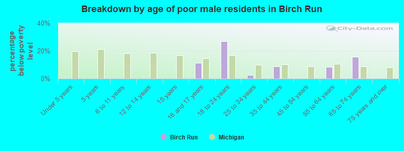 Breakdown by age of poor male residents in Birch Run