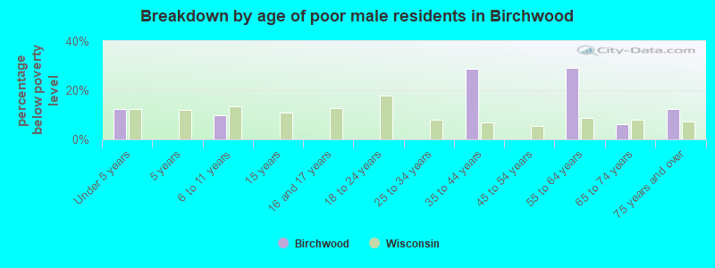Breakdown by age of poor male residents in Birchwood