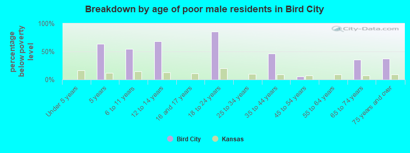 Breakdown by age of poor male residents in Bird City