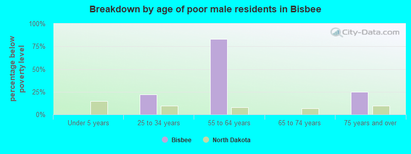 Breakdown by age of poor male residents in Bisbee