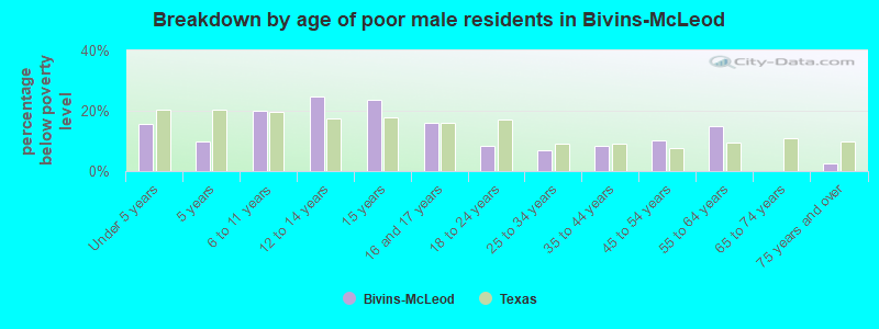 Breakdown by age of poor male residents in Bivins-McLeod