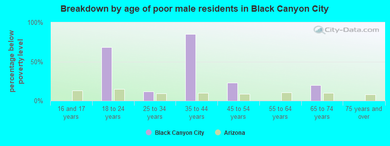 Breakdown by age of poor male residents in Black Canyon City