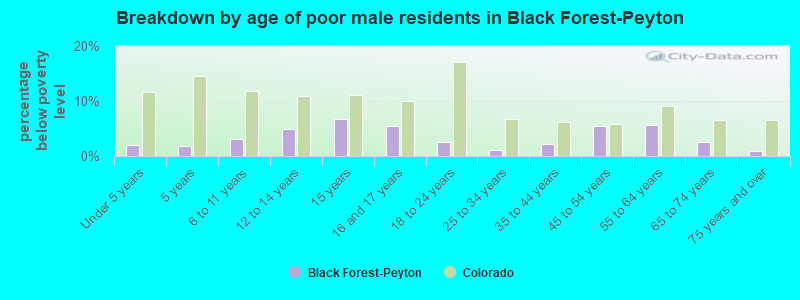Breakdown by age of poor male residents in Black Forest-Peyton